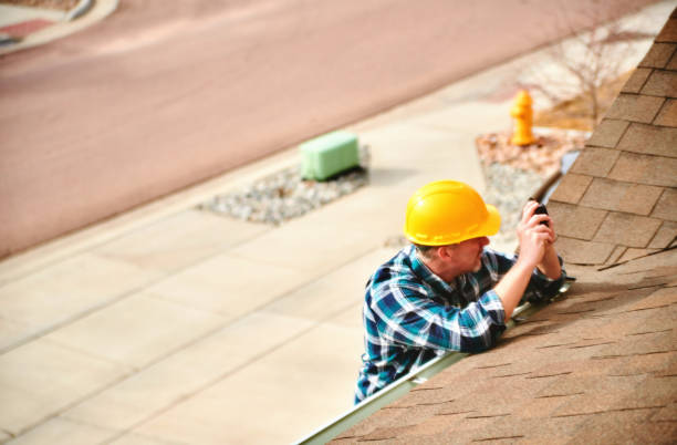 Best Roof Gutter Cleaning  in Preston, IA